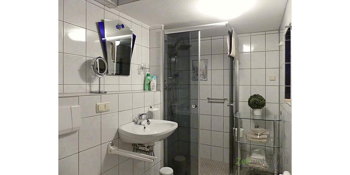 getönte Dusche und WC